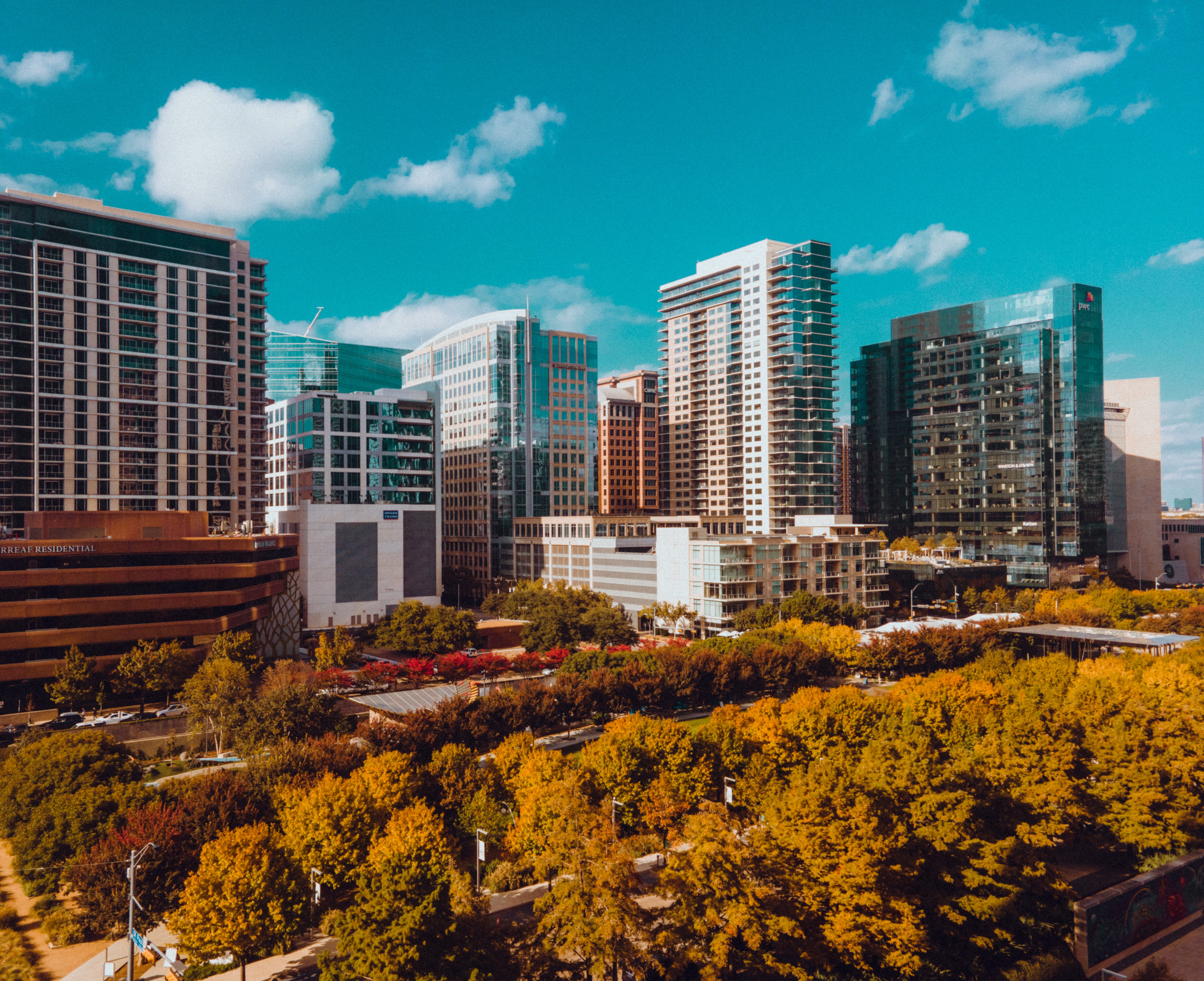 Photo of a city skyline with trees in the foreground